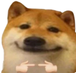 :doge_shy: